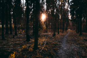 break up counseling northern colorado